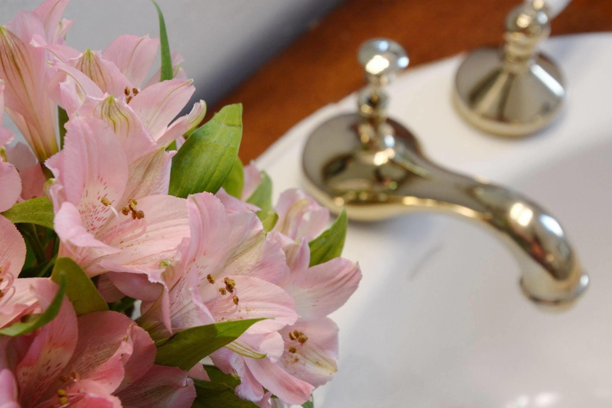 Capitol Hill Mansion B&B Inn Денвер Экстерьер фото